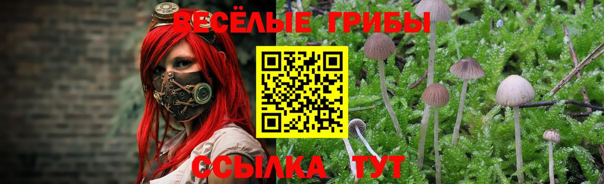 Галлюциногенные грибы Cubensis Асбест